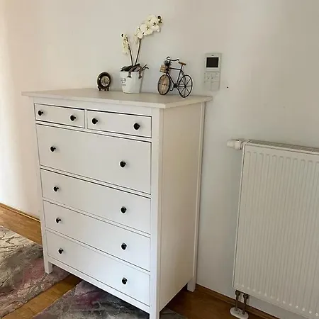 Mobilierte 5 Zimmer Zur Vermieten דירה פרנקפורט